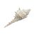 "Conch Shell" icon