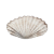 "Scallop Shell" icon