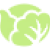 "Cabbage" icon