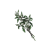"Morningtide" icon