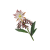 "Noonbloom" icon