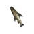 "Aged Tideswimmer" icon