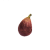 "Fig" icon