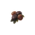 "Ripened Cranberry" icon