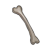 "Bone" icon