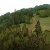 "South Hogwarts Region" icon