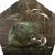 "Wyvern Fountain" icon