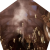 "The Great Hall Ceiling" icon