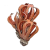 "Reddamine" icon