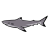 "Blacktip Reef Shark" icon
