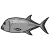 "Trevally Fish" icon