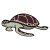 "Sea Turtle" icon