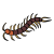 "Centipede" icon