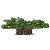"Banian" icon