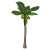"Coconut Tree" icon