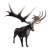 "Elk" icon