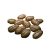 "Seeds" icon