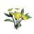 "Yellow Lotus Blossom" icon