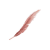 "Feather" icon