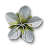 "Arenaria" icon