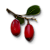 "Berbercane fruit" icon