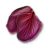 "Ginatia petals" icon