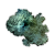 "Green mold" icon