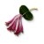 "Honeysuckle" icon