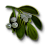 "Mistletoe" icon