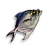 "Fish" icon