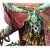 "Cavimo Rex" icon