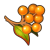 "Antipara Berries" icon