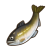 "Faraway Sweetfish" icon
