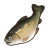 "Lulab Trout" icon