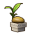 "Potted Coconut" icon