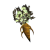 "Carrot" icon