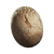 "Mirelurk Egg" icon