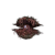 "Terror Clam Hood" icon