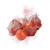 "Crimson Lantern Fruit" icon