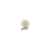 "Withering Touch" icon