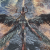 "Feathery Ambition - Xuanyangzi" icon