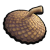 "Acorn Top" icon
