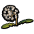 "Dandelion" icon