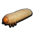 "Stuffed Grub" icon