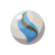 "Blastoisinite" icon