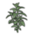 "Green Herb" icon