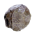 "Fibrous Pulp" icon