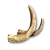 "Boar Tusks" icon