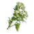 "Common Yarrow" icon