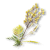 "Tansy" icon